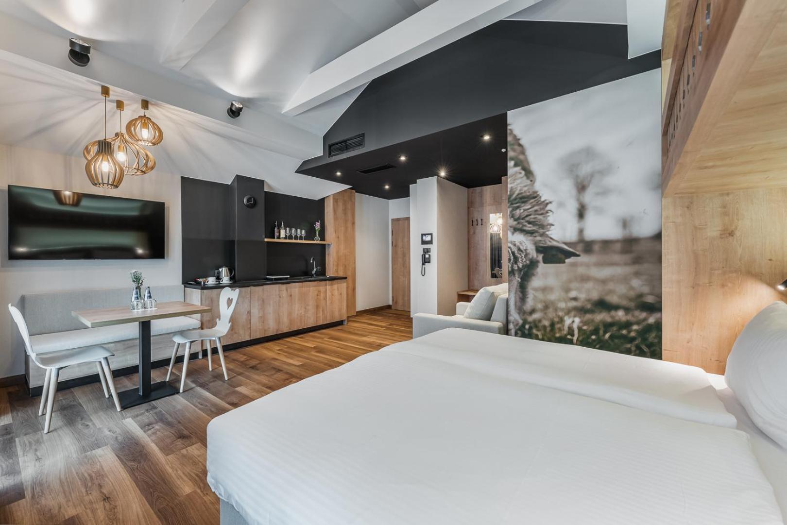 Szczawnica Park Resort & Spa Bilik gambar A typical studio apartment